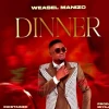 Radio And Weasel